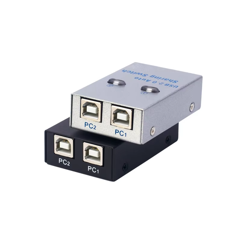 Splitter switch KVM USB a 2 po - Home Office Kvm Switch recensione e prezzo